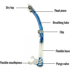 Snorkel with dry top, flexible hose and mouthpiece, purge valve