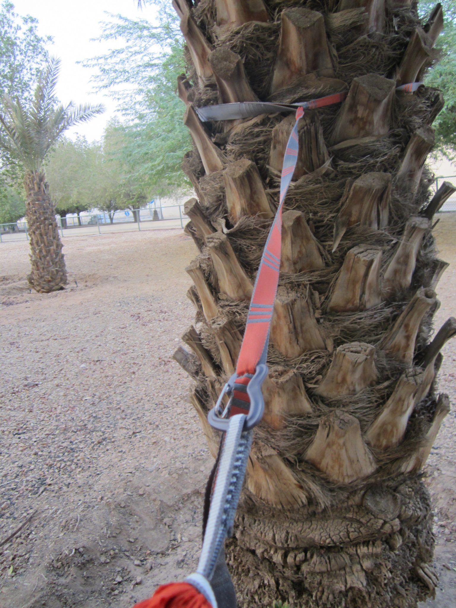 The Ultimate Hammock for Your Outdoor Trip – The Kammok Roo – Settle ...